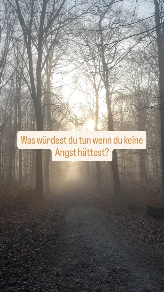 Innerjourney Naturcoaching
Ich liebe es in der Natur zu sein, zu beobachten, Fragen aufkommen lassen, mich leiten zu lassen, Räume zu öffnen, neue Perspektiven einzunehmen, zu heilen
Wenn du Interesse an einer spirituellen Natur-Innenreise bzw an einem Waldcoaching hast melde dich bei mir 🤍
#spiritualjourney #ayurvedalifestyle