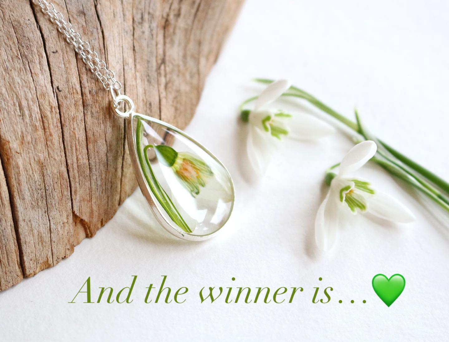 Wow thank you so much for the great response!! I’m delighted you all like the snowdrop necklaces so much 💚
The winner selected at random is…🥁🥁🥁
@frenchknotty !!!
Thank you all again, and because you’re all so lovely I’ve extended the 20% discount in my Etsy shop for another 24 hours 🥳
www.silverandbirchdesign.etsy.com x