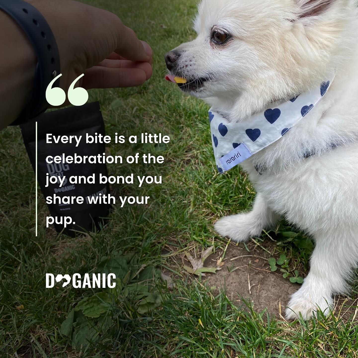 Every bite is a little celebration of the joy and bond you share with your pup ๐ถ