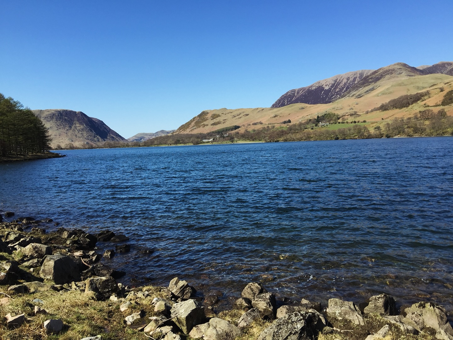 Can’t help but love nature when it looks like this. #naturephotography #nature #photography #freelancephotographer #water
