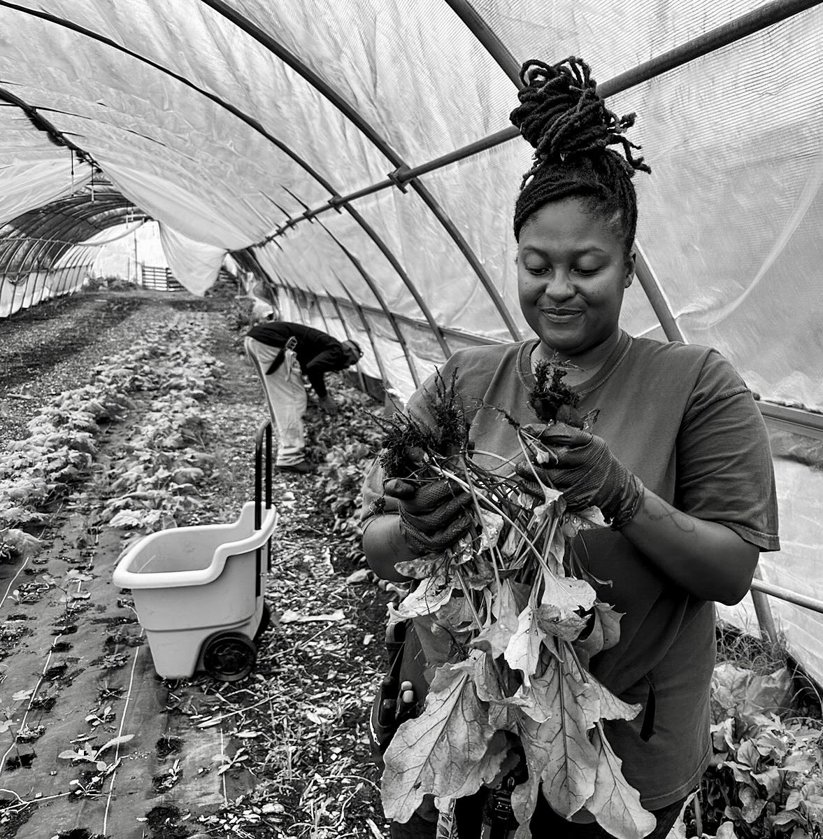 The 301st thru 312th Real Farmer Care recipients are Shae McCoy of Strength to Love II Farm @strengthtolovefarm in MD, Ellie Costello of Trust Land Farm @trustlandfarm in MT, Theresa Kim of Mollayo Farm @mollayo_farm in WA, Benjamin Thompson of Dark Nectar Cooperative @darknectarcooperative in CA, Sara Martin of Sustainabillies @sustainabillies in NC, BettyJo Jivoff of Red Clover Farm @redcloverfarmvt in VT, Courtney Cohen of Spore and Seed @sporeandseed in MD, Walter Davis III of Davis and Daughters Farm @davis.and.daughter.farms in GA, Regina Hanna of Crown H Cattle Company @crown.h.cattleco in CA, Tokie Morgan of Southern Sunny Acres @southernsunnyacres in TX, Max Bachvarova of Whatley Farm @whatleyfarm in ME, and Jennifer Mcconville of Farm Happy @farmhappyjackson in WI.
This is another cohort of 12 recipients who share ‘Body Repair Care’ as their self-care activity, and primarily in the form of acupuncture and chiropractic treatments.
When asked, ‘How might you use this $100 self-care award?’ recipient Courtney replied, “I would certainly put it towards body work, either a massage or acupuncture session. I often give myself the gift of time as a form of self care but rarely spend money on my well-being. It is hard for me to justify such expenses even though I know as someone who uses their body to make a living it would benefit both my overall wellness but also my ability to have longevity in my career.”
When asked, ‘What does self-care mean to you in the context of farming?’ recipient Tokie responded, ‘Growing, tending to and raising food is not an easy endeavor at all and it can quickly take its toll if I don’t pause each day to remember that if I’m not at my best, then my community doesn’t get the best of my farm. Self-care and well-being need to be a priority.”
When asked ‘What is your most important self-care need as a farmer?’ recipient Shae stated, “Good mental health. If mental health is good, everything else can be worked on.”
To view each recipient and read more about their thoughts on farmer self-care, please visit RealFarmerCare.com (link in bio) to read their stories.
#realfarmercare