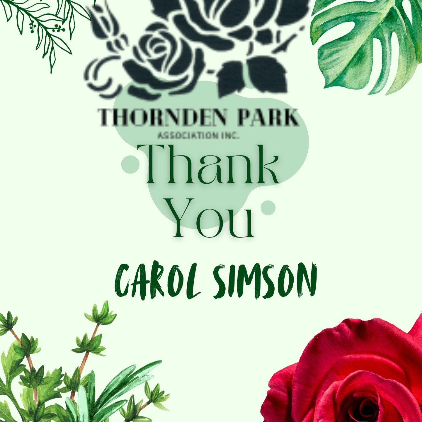 🌶️ THANK YOU, CHILI BOWL SPONSORS! 🌶️
Our hearts (and bowls) are FULL thanks to the incredible sponsors who made the Thornden Park Chili Bowl Festival a spicy success!
🌟 Your support helps keep this 76-acre East Side gem vibrant and thriving—bringing neighbors together, supporting community projects, and making sure this beloved park remains a place for all to enjoy. 💚🌳
Shoutout to our amazing sponsors—this event wouldn’t be the same without you! 👏👏
Thank them tomorrow if you see them and show them some love, and let’s keep the Thornden Park magic alive! ✨ #ThankYou #ChiliBowlFestival #ThorndenPark #SyracuseNY #CommunityPowered