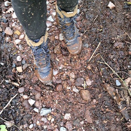 Lunchtime walk from homebase, 🍑 Billy Bottom on route, enjoying the February sunshine and the promise of spring.
#outdooradventures
#outdoorwalks
#dogwalks
#selfcare