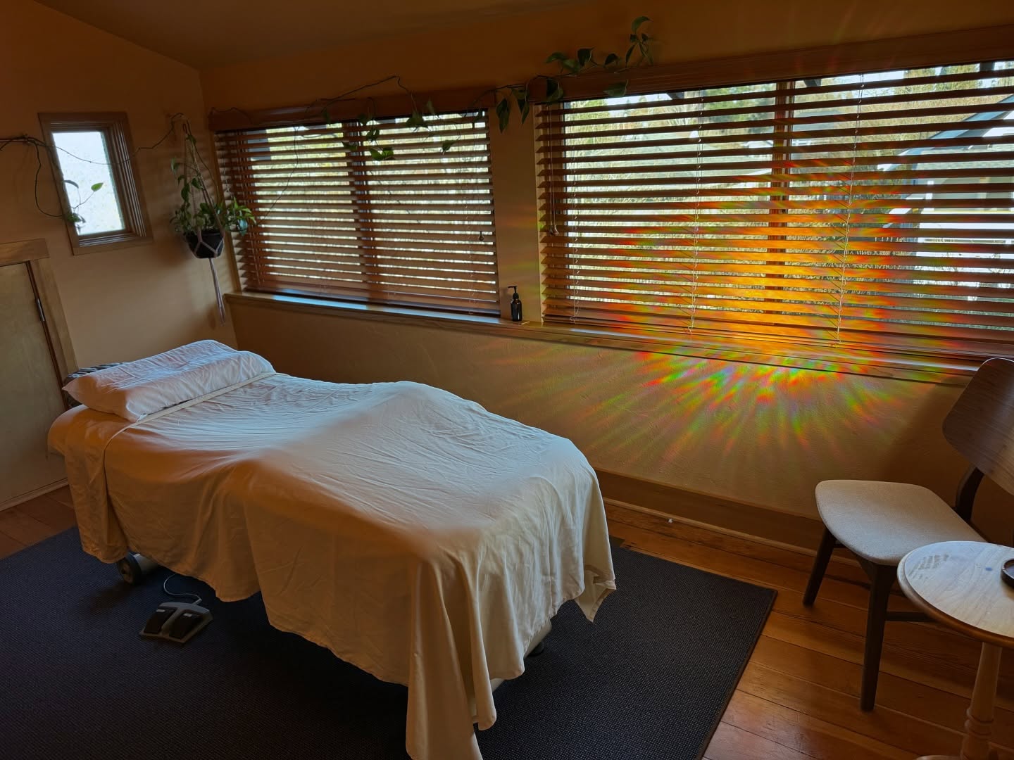A peaceful sunny moment from the upstairs acupuncture lair. Out in the world is certainly chaotic, but we are holding it down in here with stillness and calm for you to find a place to land and recharge. Hope to see you on the table for a tune up soon. āØ