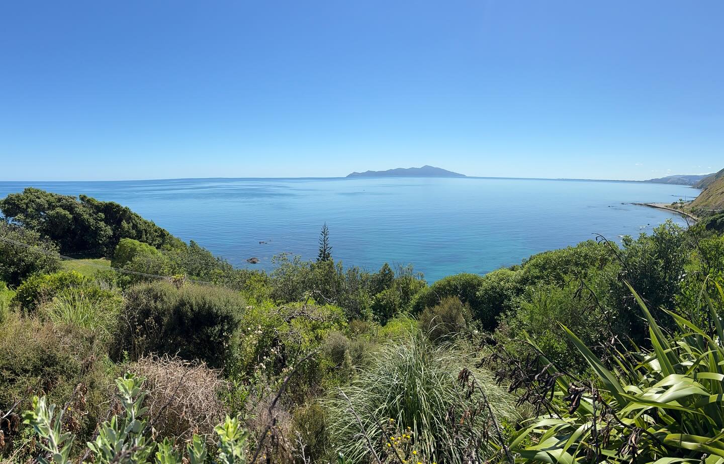 Framing Kapiti Island