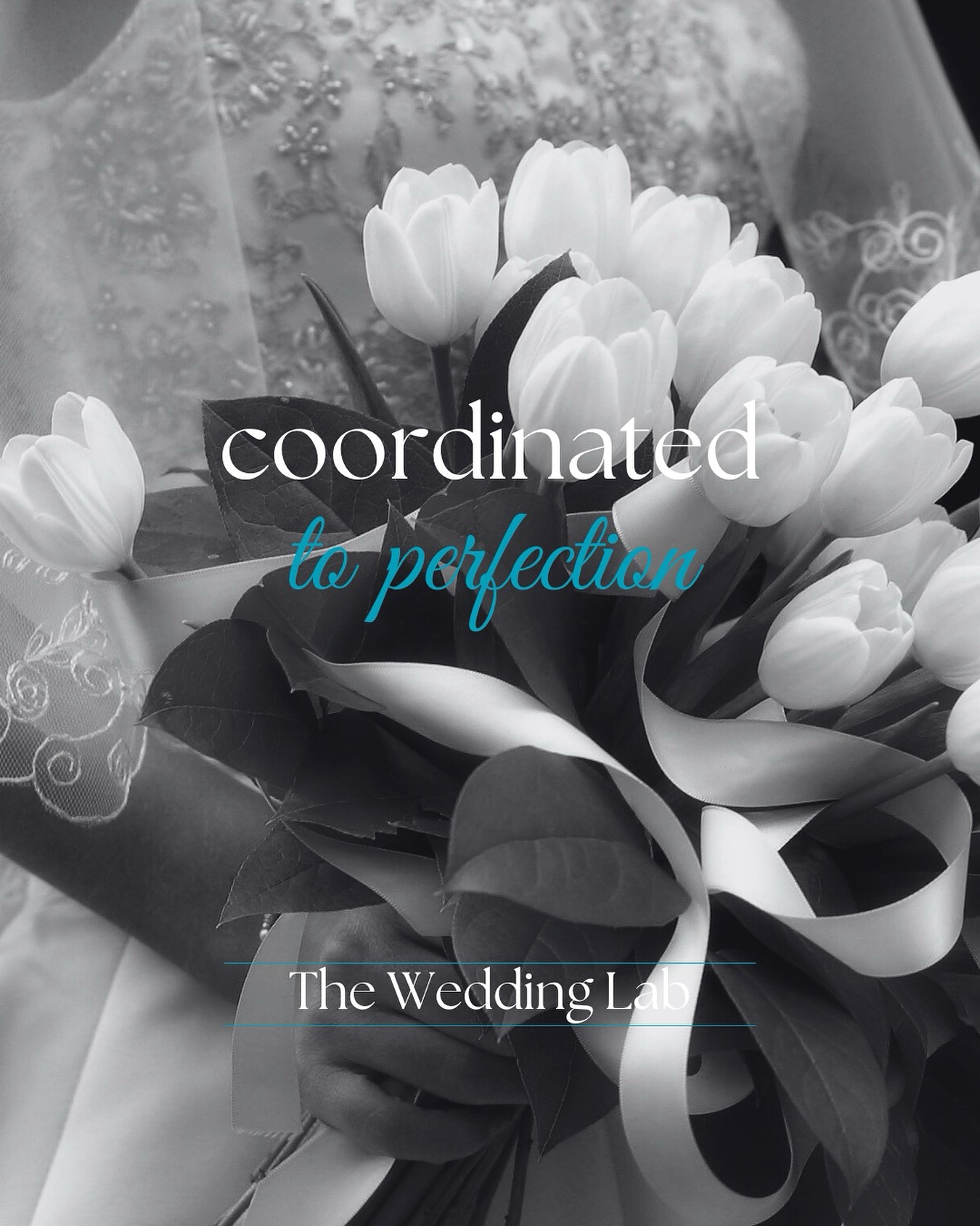 📐✨ Coordinated to Perfection ✨📐
At The Wedding Lab, we don’t just plan—we perfect. From timeline logistics to last-minute details, our expert coordination ensures your wedding day unfolds seamlessly, just as you envisioned.
Because you should be focused on celebrating, not problem-solving. 🎉💍
Let’s make your wedding effortlessly flawless. 💫
📩 Ready to get started?
theweddinglab.ca | theweddinglabcanada@gmail.com | or through our DMs