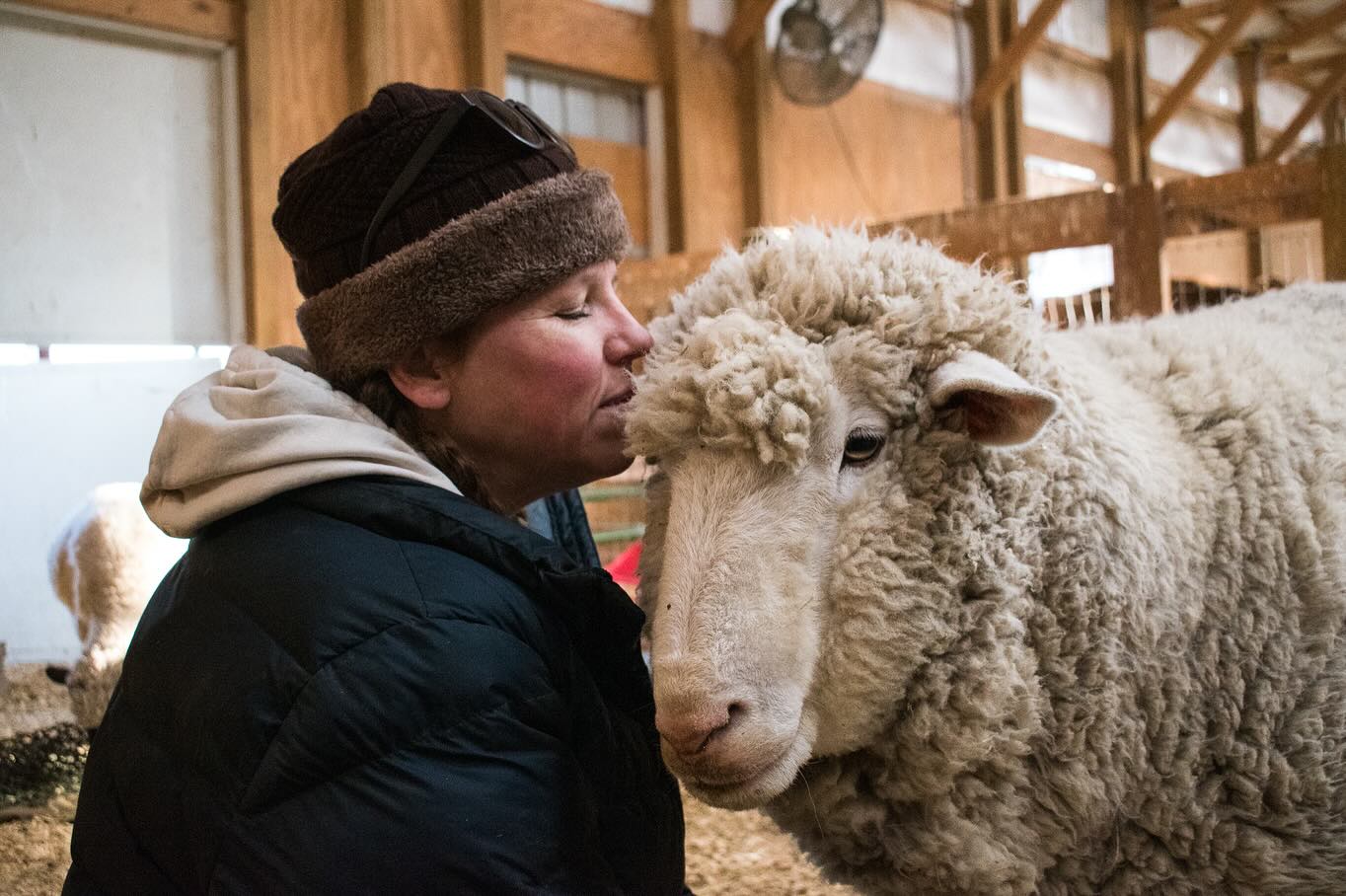 Once animals begin to relax and heal in sanctuary spaces, they reveal how they want to relate with the people around them and what they need to feel like themselves. We witness kindness, presence, clear boundaries, companionship, reciprocity and states of being rarely seen in the places they came from.
@luvinarms animal sanctuary is informed by principles from the Jain tradition, including ahiṃsā (non-harming) and aparigraha (non-grasping). Visitors learn that these principles are not just ways to act but threads that can weave through our daily lives and shape how we interact with others, both human and non-human.
Another Jain principle that permeates conversations at Luvin Arms is anekāntavāda - the practice of seeing a situation or experience from multiple perspectives. This concept is especially critical in animal advocacy. Not only does it encourage us to consider the animals’ perspective, but it also serves as a valuable tool for engaging in dialogue with people who hold very different views on how we see and care for animals.
Sanctuaries are more than spaces for animals to heal; they are also places where we learn to be more skillful humans-ones who center compassion, protect, and are willing to do what it takes to create a different future for all animals, even when that means listening to people we might otherwise want to blame.
These are certainly times for fierce action, and also times for approaching the work of animal advocacy with open minds and hearts. Anything is possible.
✨🤍✨
#farmsanctuary #jain #animalphotojournalism