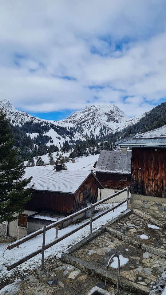 Kennt ihr das, wenn die ursprünglich kleine Laufrunde doch etwas weiter wird, da es einfach so schön ist? Und dann auch noch neue Plätze entdeckst - unbeschreiblich 💚
Deine Wanderführerin kennt die schönsten Wege und Plätze. Komm mit auf eine geführte Wanderungnund entdecke Neues. Bist du dabei?
#wandern #winterwandern #frühling #winter #hike #iguideyou #bergliabi #naturelover #schnee #mountain #muntafu #uimlaguide