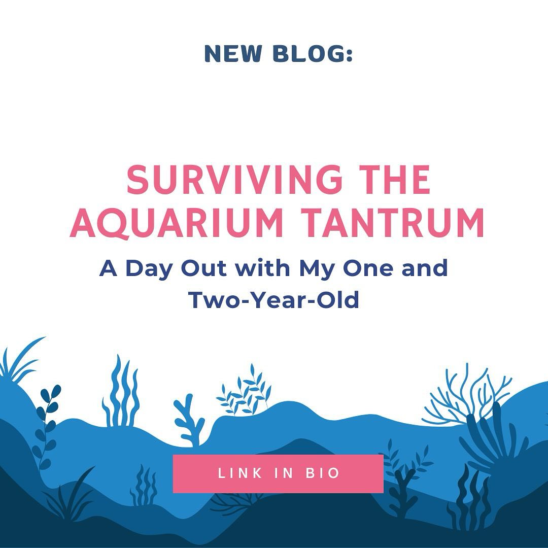 Public outings with a one- and two-year-old… what could go wrong? 😅 My latest blog, Surviving the Aquarium Tantrum: A Day Out with My One- and Two-Year-Old, is now live! From wonder-filled moments to full-blown meltdowns, this trip had it all. Read the chaos by clicking the link in bio ⬆️
#CandidChaos #ToddlerLife #MumAdventures #blog #aquarium #toddlers #parenting #momlife #mumlife #funny #tantrum #fish #whales #kids #motherhood #outings #family