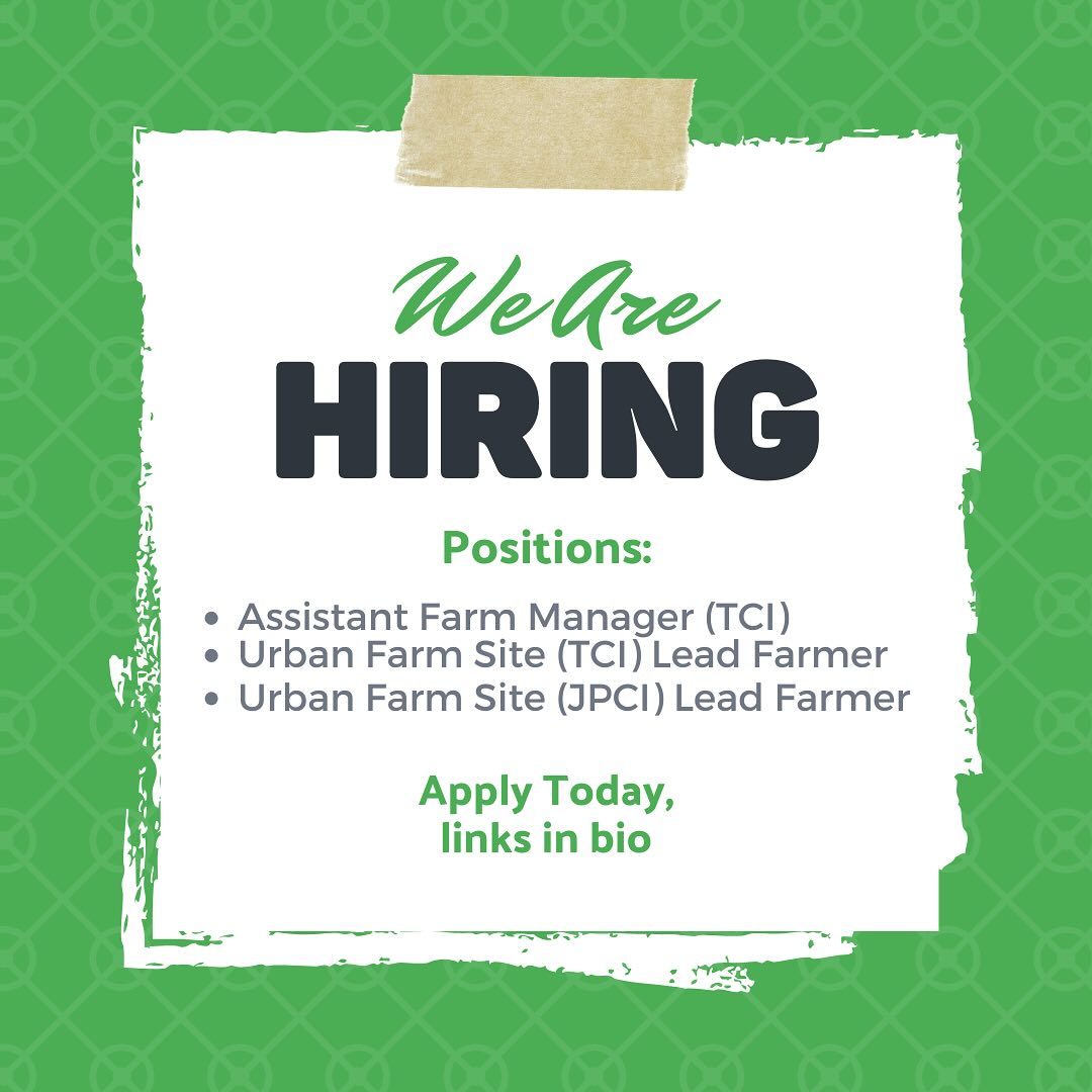 We’re hiring! 🚀 Apply today on Indeed and join our team! #NowHiring #JobOpportunity
Apply today through the links in our bio!