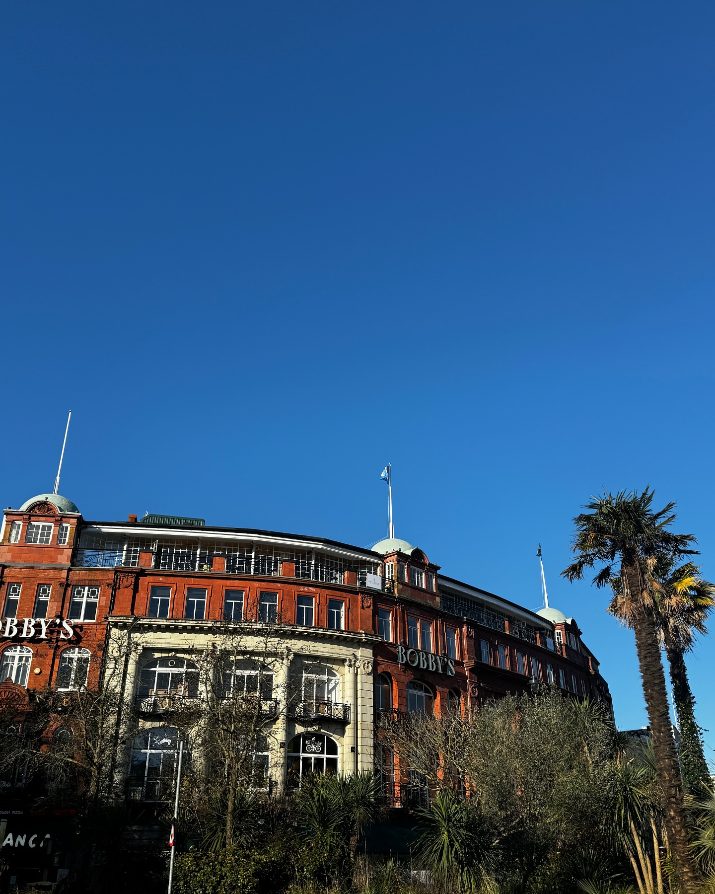 Happy Friday! ☀️
Hope you all have a great weekend with some ☀️