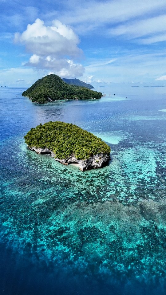 Raja Ampat: A Hidden Paradise Awaits
10 days. Endless blue. Untouched islands. A diver’s dream.
Raja Ampat, tucked away in Indonesia’s farthest reaches, is home to 75% of the world’s coral species and some of the richest marine biodiversity on the planet. Think crystal-clear lagoons, towering limestone cliffs, and vibrant coral gardens teeming with life.
Aboard the Emperor Harmoni, the ocean is a playground—diving remote reefs, cruising through emerald waters, and waking up to surreal sunrises. Just a glimpse of what makes this place so special.
#RajaAmpat #IndonesiaTravel #LiveaboardLife #djiDrone #ScubaDiving #OceanLover #emperorharmoni