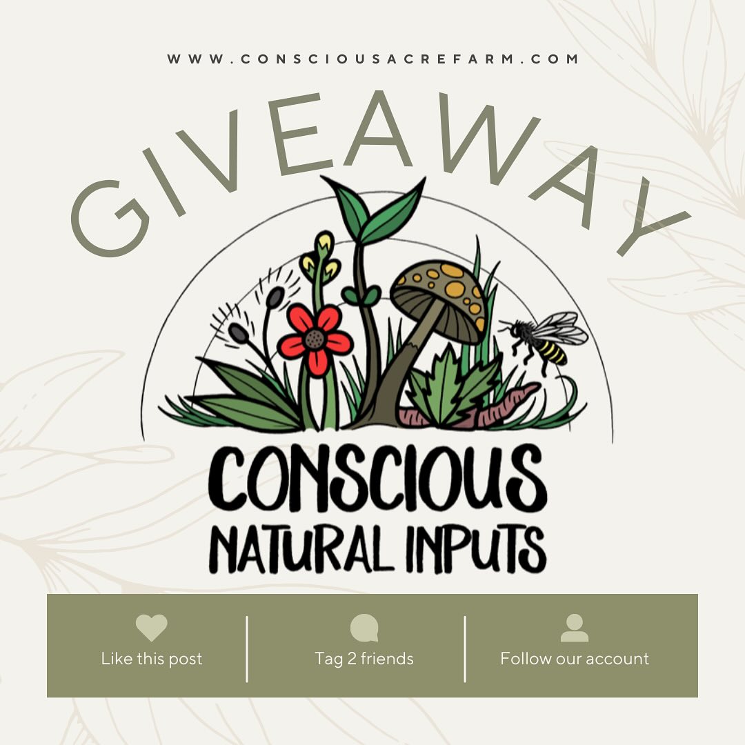 🎉 BIG GIVEAWAY!🌿🌸
I’m giving away an amazing package to jump start your growing season.
🏆Winner will receive:
•4oz FAA (fish amino acid)
•4oz OHN (oriental herbal nutrient)
•8oz FPJ (fermented plant juice)
•8oz BRV (brown rice vinegar)
•1 liter Solo Sprayer (my favorite for seed starting and small gardens)
🌱✨
HOW TO ENTER:
1️⃣ FOLLOW @conscious_natural_inputs – Stay connected for natural farming tips & products!
2️⃣ LIKE this post – Show some love!
3️⃣ TAG 2 fellow plant lovers in the comments (each tag = 1 extra entry, unlimited entries!)
4️⃣ SHARE this post to your story & tag @conscious_natural_inputs for 5 BONUS ENTRIES!
📆 Giveaway ends: 3/17/25
🏆 Winner announced: 3/19 at 7pm EST in my IG Stories!
Extra Bonus: Comment your favorite plant emoji 🌿 for a discount code in your DMs.
🚛 Open to U.S. only. This giveaway is not affiliated with Instagram.
Let’s grow together! 🌱✨ Good luck!
#knf #koreannaturalfarming #naturalfarming #imo #indigenousmicroorganisms #livingsoil #microbes #naturalinputs #consciousacrefarm #consciousnaturalinputs #PlantLovers #GardeningGiveaway #GrowWithUs