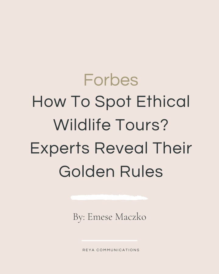 How can travelers distinguish truly ethical wildlife experiences from those that only claim to be?
In one of her latest reports for @forbes , Emese Maczko @ecolodgesanywhere explores the 5 golden rules of responsible wildlife tourism, featuring insights from industry leaders, including @go2africa , @volcanoes_safaris , and @expjourneys.
🦍 "People should appreciate the rare privilege of watching animals in the wild without needing to interact with them, which is how tourism should be," shares Praveen Moman, founder of Volcanoes Safaris. His company has been a pioneer in great ape conservation tourism, crafting experiences that safeguard primates while benefiting local communities.
🌍 "It's not always easy to tell upfront. We also conduct thorough audits to determine whether we want to work with a partner,”notes Liesel van Zyl, head of positive impact at Go2Africa, when discussing the challenge of identifying ethical operators. She highlights the importance of thorough audits and on-the-ground research to ensure partners align with responsible tourism principles.
🦅 For EXP Journeys, keeping a respectful distance from wildlife is a non-negotiable. "Any change in an animal’s natural behavior is a red flag. Wildlife should not act differently because of your presence," says co-founder Andrew Roberts. His team specializes in ultra-private expeditions that leave minimal impact on fragile ecosystems.
As travelers increasingly seek conservation-conscious adventures, these industry experts are helping set the standard for authentic, ethical, and sustainable wildlife experiences.
📖 Read the full feature in the link on our stories.
✍️ Looking for expert voices on sustainability travel and conservation? Let’s connect!
#Go2Africa #VolcanoesSafaris #EXPJourneys #EthicalTravel #WildlifeConservation #SustainableTourism #Forbes #LuxuryTravel