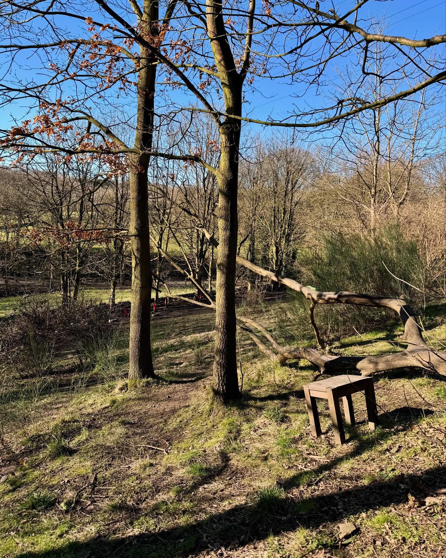☀️Beautiful Morning at Hegiin’s Private Dog Paddocks!
The paddocks are ready and looking absolutely stunning in the morning sunshine—perfect for your pups to run, play and explore! 🌿✨🐶🐾
We’ve only got a few afternoon slots left, so book now to avoid disappointment. 📅
📍Southowram, West Yorkshire, United Kingdom
#DogParadise #BookNow #HappyDogs #WestYorkshire #Halifax #Southowram #DogWalk #March #Spring #Sun #HappyPups #PrivatePaddocks #DogPark