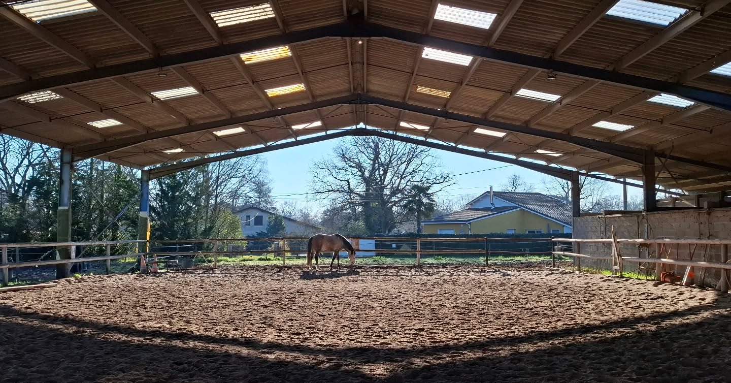 Les dimanches matins...
#equifeel #equitation #equitationbienveillante #equitology #equitationnaturelle #equicoaching #cheval #chevaux #horse #horsemanship