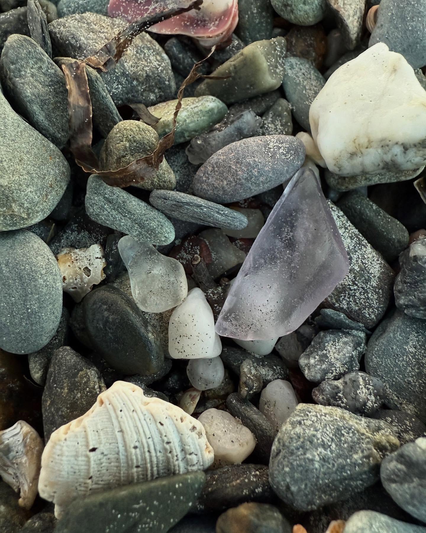 Searching for seaglass while listening to podcasts with my dog is the best therapy I could ask for.