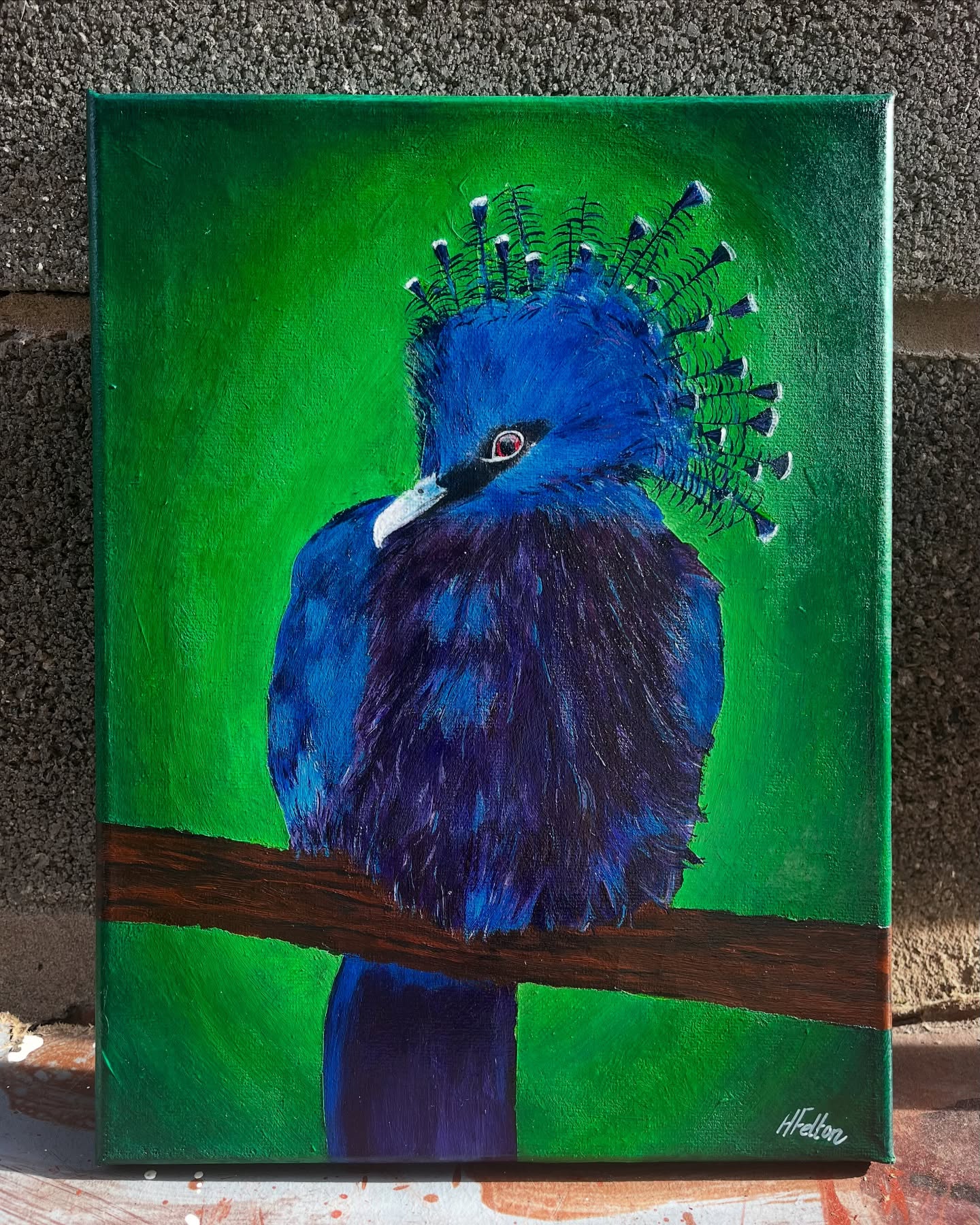 Beautiful shine after being varnished 🤩
#victoriacrownedpigeon #varnish #painting #art #artwork #acrylic