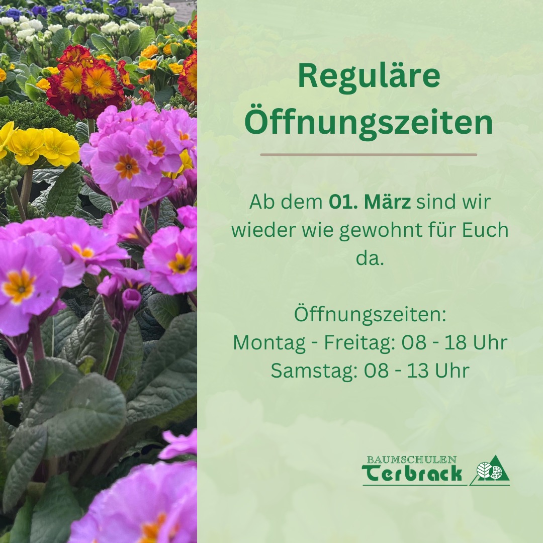 Wir sind ab dem 01. März wieder wie gewohnt für Euch da. Montag - Freitag von 08-18 Uhr und Samstags von 08-13 Uhr. Wir freuen uns auf Euch! 💚#baumschulenterbrack #frühling #ahaus #stadtlohn #gronau #heek #legden #ochtrup #spring #Frühjahrsblüher #Garten #Pflanzen #Pflanzenliebe
