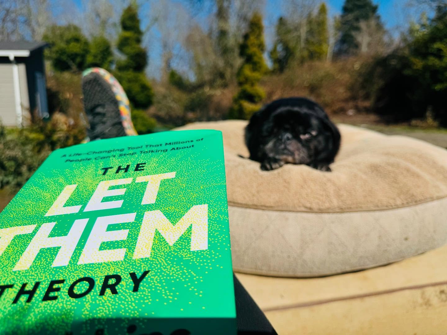 This book 🙌🏻
“The Let Them Theory” - Mel Robbin’s
I can’t recommend this enough. I can’t praise this enough. I have integrated reading a chapter into my morning routine and my god has it been a powerful reminder, a new perspective, a game changer in my mindset.
I care…way too much about what other people think.
I have lived so much of my life trying to control situations, people, decisions that are frankly…not mine to control nor should I have any business trying to control.
I have struggled so much in feeling like the decisions people make that I have feelings about are a direct reflection of my unworthiness.
No…a book doesn’t just fix my life, my thoughts, my self esteem. But damn has it helped me take one giant step in a different direction. And for that…I am grateful.
Check out the book!
https://a.co/d/hmHtZX0
https://www.skysthelimit.online
#theletthemtheory #melrobins #takebackyourpower #emotionalhealing #ourpaths #healing #journey #control #letthem #letme #emotionalhealth #emotionalintelligence #emotions #emotionsmatter #power #strength #emotionalstrength #love #loveyourself #understand #selfhelp #selfhelpbook #selfhelpbookswork