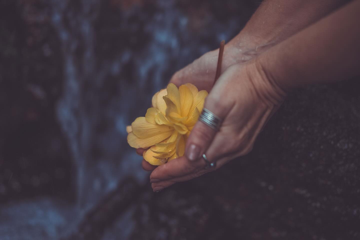 Jungian analyst and author, Francis Weller writes: “Initiation practices break us open to the widest possible identity” but we are no longer part of an “Initiation Culture” but live instead in a “Trauma Culture.”
This is true for all of us, whatever our gender. However for women, the absence of a place where we can find our true voice, is particularly marked because we live in a culture that does not recognise or value this voice. @carol_gilligan’s groundbreaking research in the 1970s, captured in her book In A Different Voice, speaks to this. She noticed how theorists had traditionally focussed their studies on the development of men and less so on women. Freud, Erikson, Piaget & Kohlberg all “confessed to being puzzled by women, whom they observed to be less developed than men both in their sense of self and in their capacity for moral judgment.” When looking through a male lens, women are found wanting because they do not fit the criteria that naturally apply to men. However, what Gilligan observed in her own interviews with women, was that they started the conversation from a different vantage point - from a point of connectedness rather than separateness. It is this connectedness that is seen by the male theorists to “get in the way” of identity and moral judgments.
She observed that girls tend to put more emphasis on relationship and fear being alone. This means that they often miss out on individuation – the stage where they learn who they are and what is important to them - as they move quickly from being parented (and often the child that their parents want them to be) to being in a romantic relationship (and being the woman their partner wants them to be). This is why “a place of women” becomes so important. A place where a girl moving into womanhood, can begin to discern who she is in relation to herself as well as the world at large. A place where she can discover and practice the “difference” in her voice and learn to express it.
Photo @vanessatuckerphotography
#womenscircles #carolgilligan #inadifferentvoice #divinefeminine #feminine #individuation #initiation #jung #marionwoodman #francisweller #theembodiedsoul #psychotherapistsofinsta