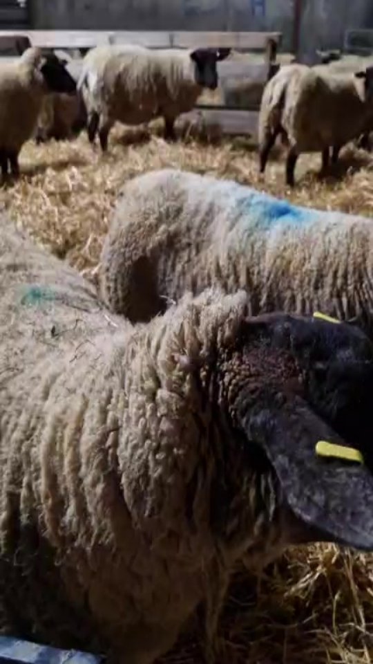 1 March, Saturday Pm