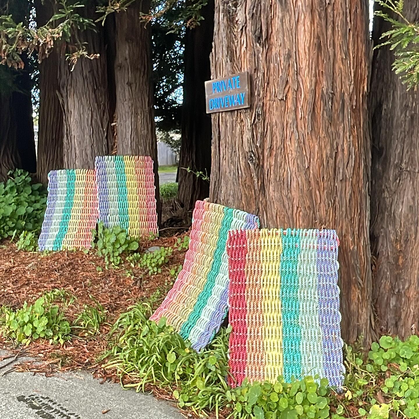 Bath Time! The colors are extra vibrant after a washin 😀