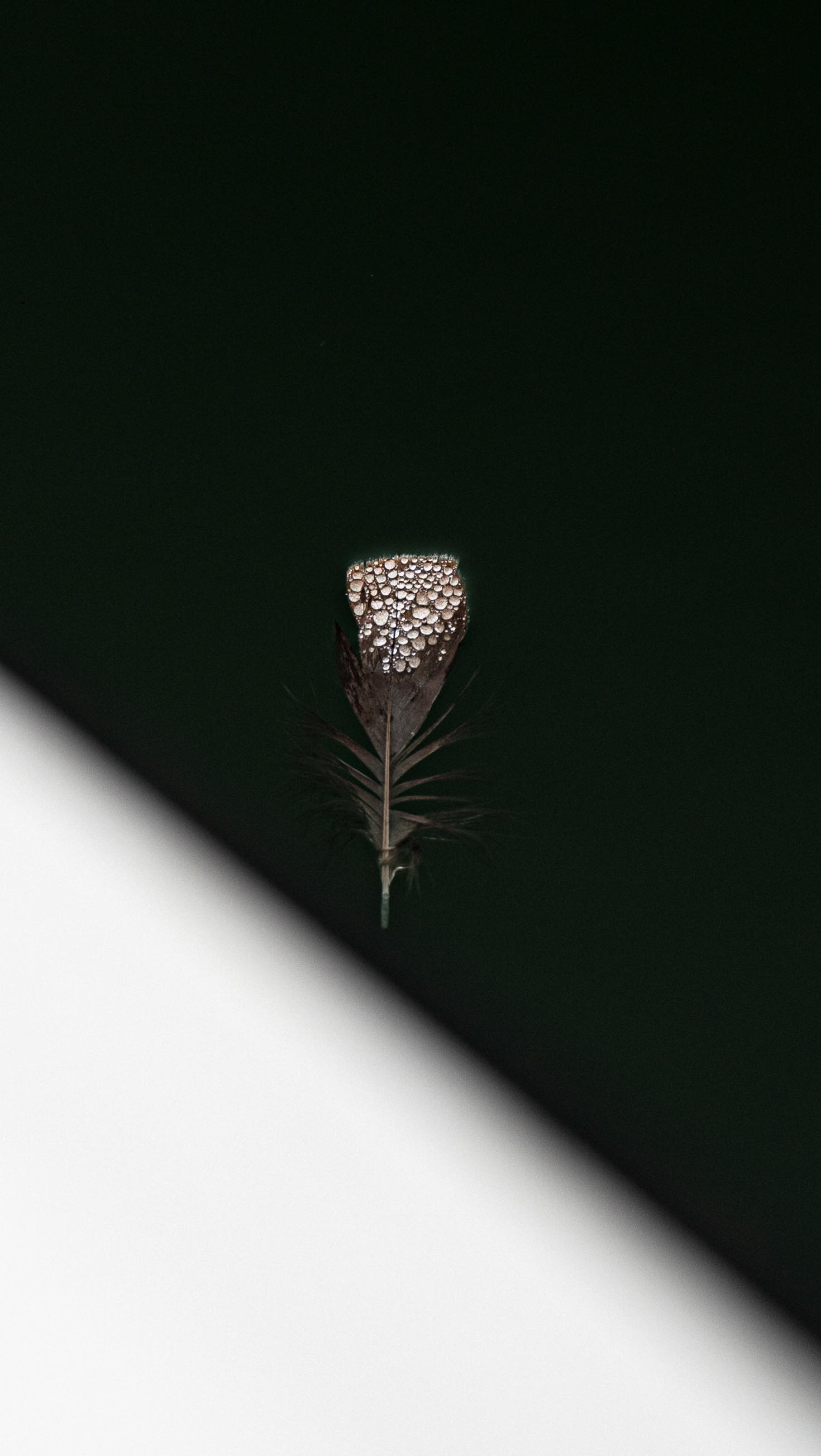 We are very thankful for the collaborations we’ve done over the past year and excited about new ones to come!
#contentcreation #arkansas #missouri #oklahoma #ozarks
#ozarkansas #missouriozarks #oztrails