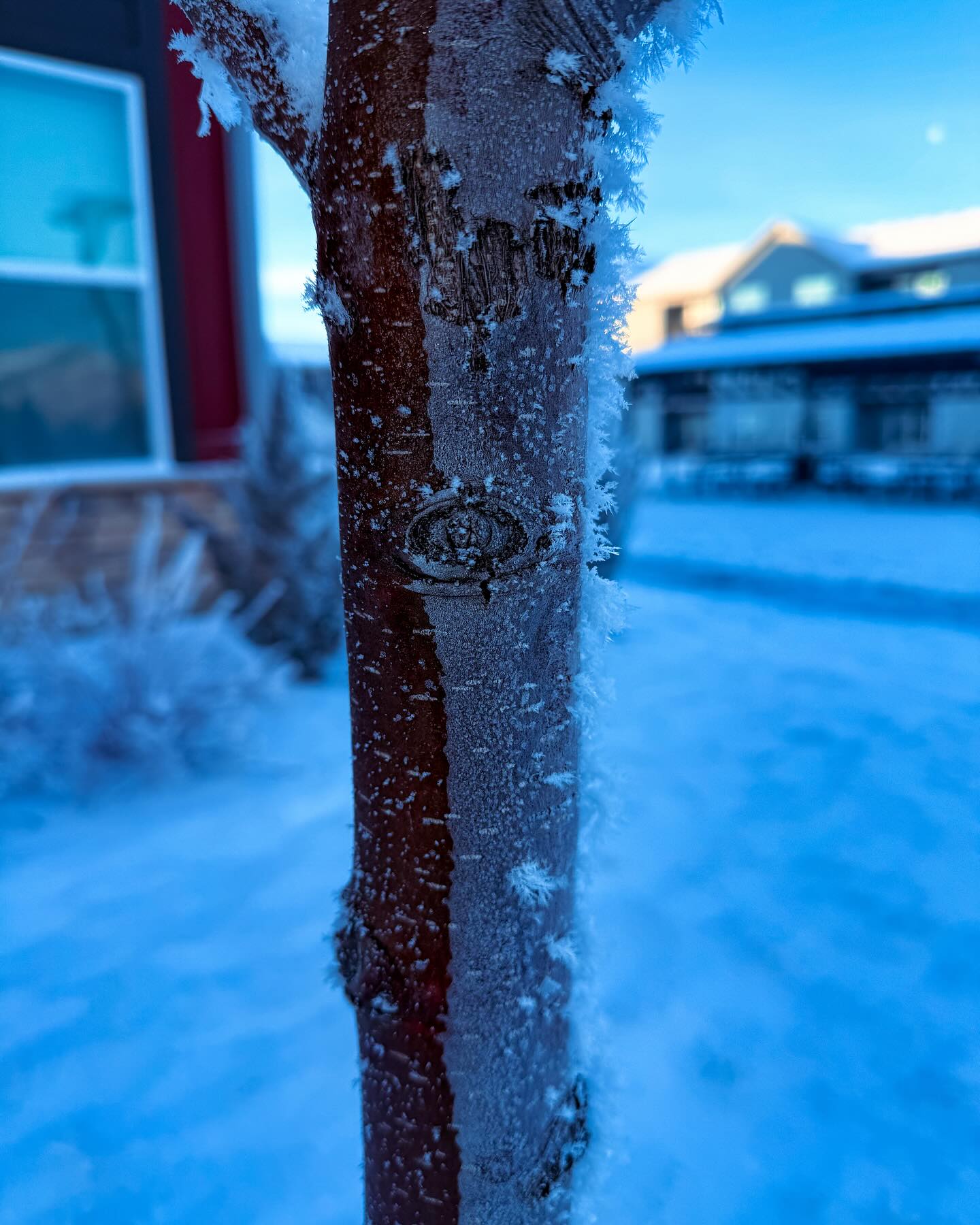 february 2025 was pretty cool. got more sunshine, reunited with a good friend 🩵
#february #writerlife #writersofig #writingcommunity #authorlife #authorsofig