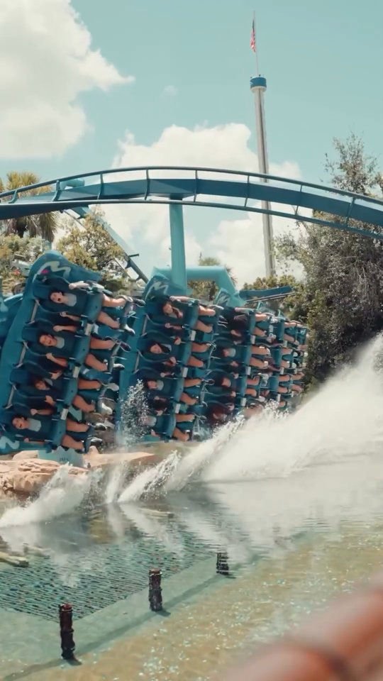 Miren este video y confirmen si SEAWORLD no es INCREÍBLE 💫Un parque con algunas de las montañas rusas más divertidas de Florida 🤪 #Disney #Orlando