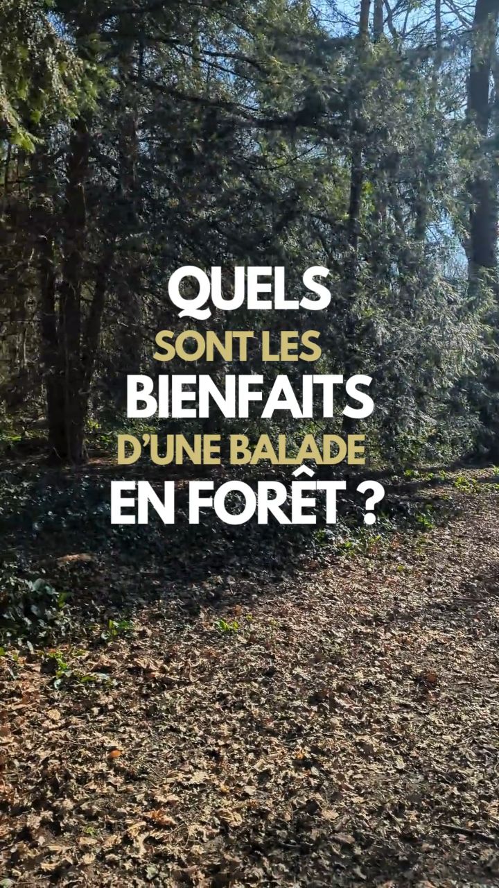 🌲 Reconnectez-vous à la nature, reconnectez-vous à vous-même 🌿
Prendre le temps de marcher en forêt, c'est offrir un moment de paix à son esprit et un regain d'énergie à son corps. ✨
Respirez profondément, laissez vos pensées s'apaiser et profiter des bienfaits :
🍃 Réduction du stress
🫀 Amélioration de la santé cardiovasculaire
🌸 Boost de la créativité et de la concentration
🌞 Renforcement du système immunitaire
Et vous, quand avez-vous pris votre dernière bouffée d'air pur ? 🌳
📍Chez Evoleoz, on vous encourage à prendre soin de vous, à l'intérieur comme à l'extérieur. 💚
#MarcheEnForêt #BienÊtreNaturel #Sylvothérapie #Evoleoz #ConnexionÀLaNature #DéveloppementPersonnel #BienfaitsDeLaNature #Mindfulness #MarcheConsciente