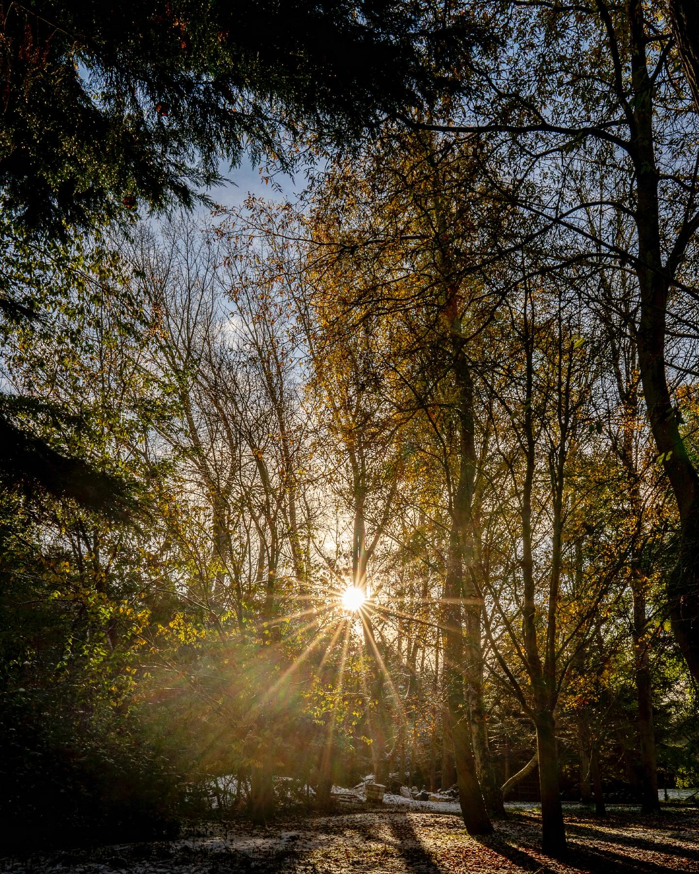 Spring is trying to break through