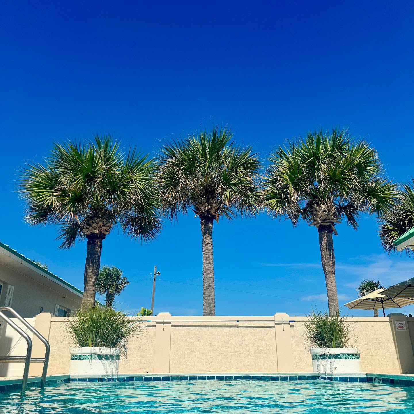 Welcome 24 Sunshine, swaying palms, and the sparkling blue pool—your perfect spring escape awaits. 🌞💦🌴 Relax, unwind, and soak in the beauty of Flagler Beach. Book your spring escape today!
#islandcottageinn #visitflagler #flaglerbeach #summertravel #travel #traveldestination #traveldestinations #beach #beachvacation #boutiquehotel #floridabeach #instatravel #instatraveling #travelphotography #oceanside #seaside #travelgram #boutiquehotels #sunnyday #beachvibes #poolside #spring #springescape