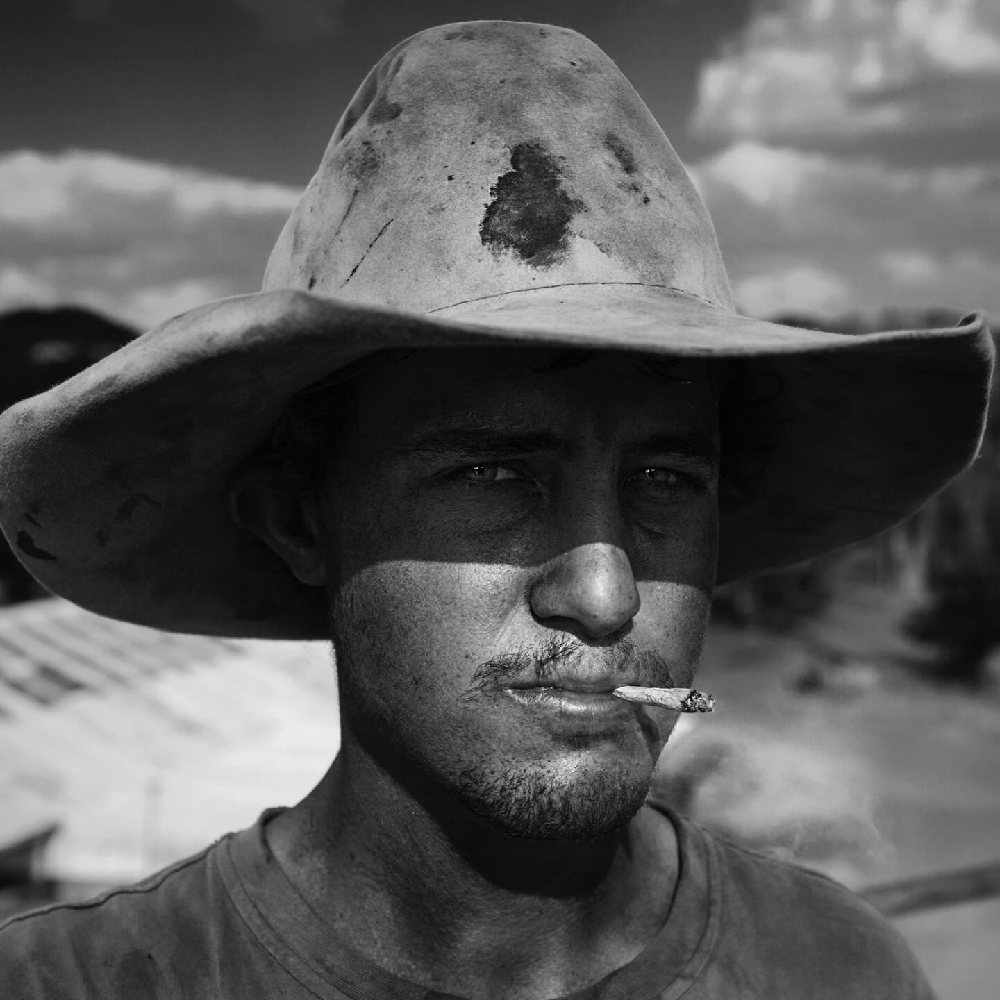 Beef
https://www.lksteen.com/portfolio-collections/portfolio/beef