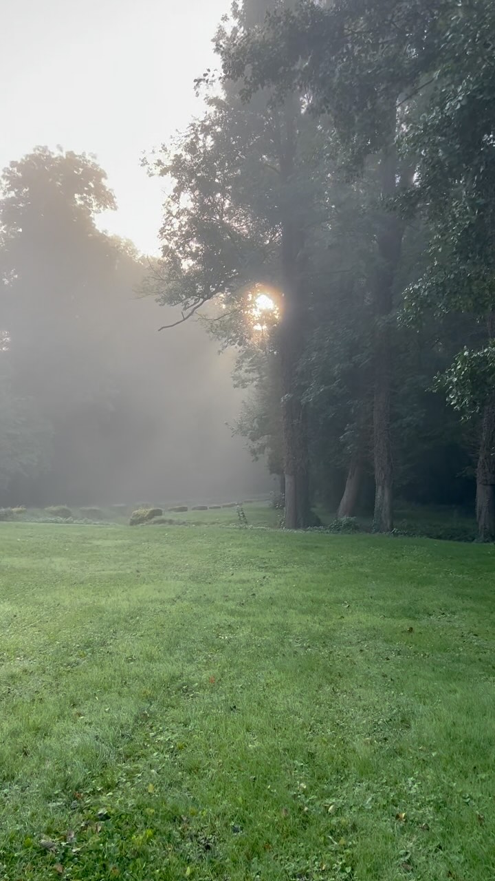 • Le printemps arrive… mais est-ce que votre corps le sait vraiment ?
Les jours rallongent, l’air devient plus doux, et sous la terre encore froide, la vie s’éveille en silence.
La nature s’étire, sort de sa torpeur hivernale…
Mais vous ? Ressentez-vous cet appel du renouveau, ou avancez-vous encore au ralenti, prisonnier.e du rythme artificiel qu’on s’impose toute l’année ?
On chauffe nos maisons à 21°C, qu’il gèle ou qu’il fasse doux.
On mange des tomates en plein hiver, alors que la terre n’en offre pas.
On vit des semaines identiques, sans jamais écouter le souffle des saisons.
Et si c’était ça, le vrai déracinement ?
Avoir oublié que nous sommes, nous aussi, des êtres cycliques…
Avant, on savait.
L’hiver était un temps de repos.
Le printemps, un réveil progressif. Un moment où l’on ouvrait doucement les fenêtres de son corps et de son esprit, comme on ouvrait celles de sa maison après des mois d’ombre et de froid.
Mais aujourd’hui, on veut aller vite.
Se secouer dès les premiers rayons de soleil, repartir à toute allure.
Comme si la nature elle-même ne prenait pas le temps d’éclore…
Et si on s’accordait à elle ?
• En réveillant nos corps avec douceur, comme les bourgeons timides sur les branches.
• En réapprenant à respirer l’air frais du matin.
• En laissant notre énergie revenir, petit à petit, sans forcer.
Cette année, j’ai décidé d’accueillir le printemps en conscience.
Et vous, que ressentez-vous en ce moment ? Est-ce un élan, ou encore un besoin de lenteur ?
Dites-moi en commentaire 😊
.
.
.
.
#domainedevaugency #vivreaveclessaisons
#éveilduprintemps #rythmenaturel #slowlife #refugenature