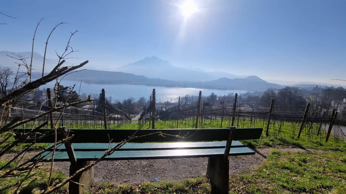 Rebberg Kloster Gerlisberg
.
In der Leuchtenstadt gibt es viele schöne Ecken zum Verweilen 😌. Einer davon befindet sich direkt bei unserem Rebberg beim Kloster Gerlisberg. Dabei hat man nicht nur die beste Sicht auf den Pilatus und den Vierwaldstättersee, sondern direkt vor einem befinden sich unsere Divico Reben 🤩. Ein herrlicher ruhiger Ort, um die Schönheit der Natur zu geniessen 😎.
.
PS: Es wird auch gemunkelt, dass es das schönste Bänkli der Stadt sei.😉🤭
.
.
#seeburghof #zentralschweiz #lozärn #lakelucerne #pilatus #bestview #zentralschweizerweine #biowein #piwi #natur #auszeit #rebberg #myfarmmoments #kloster