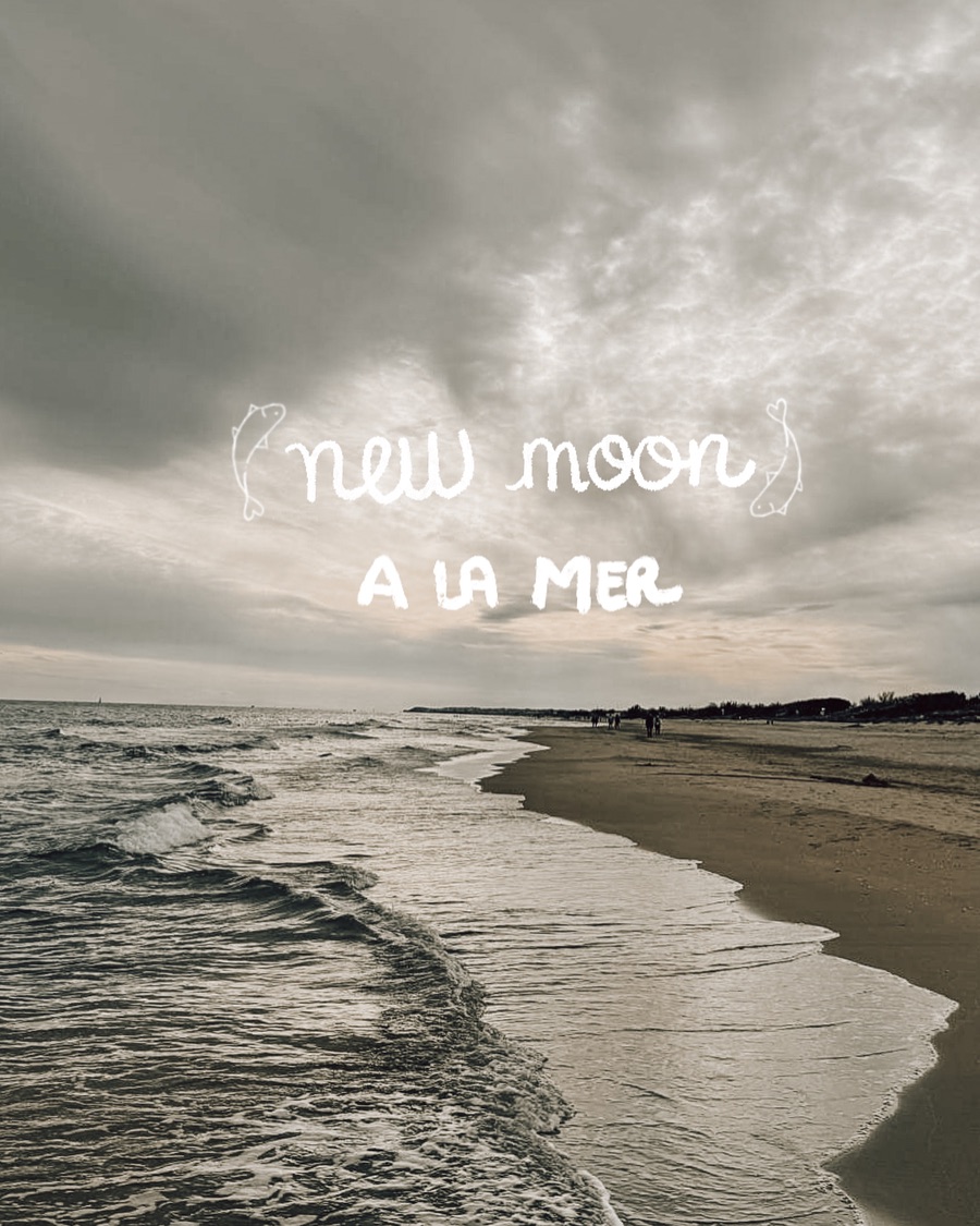 Est-ce qu’on ne devrait pas toujours célébrer les lunaisons en poisson à la mer 🐠 ?