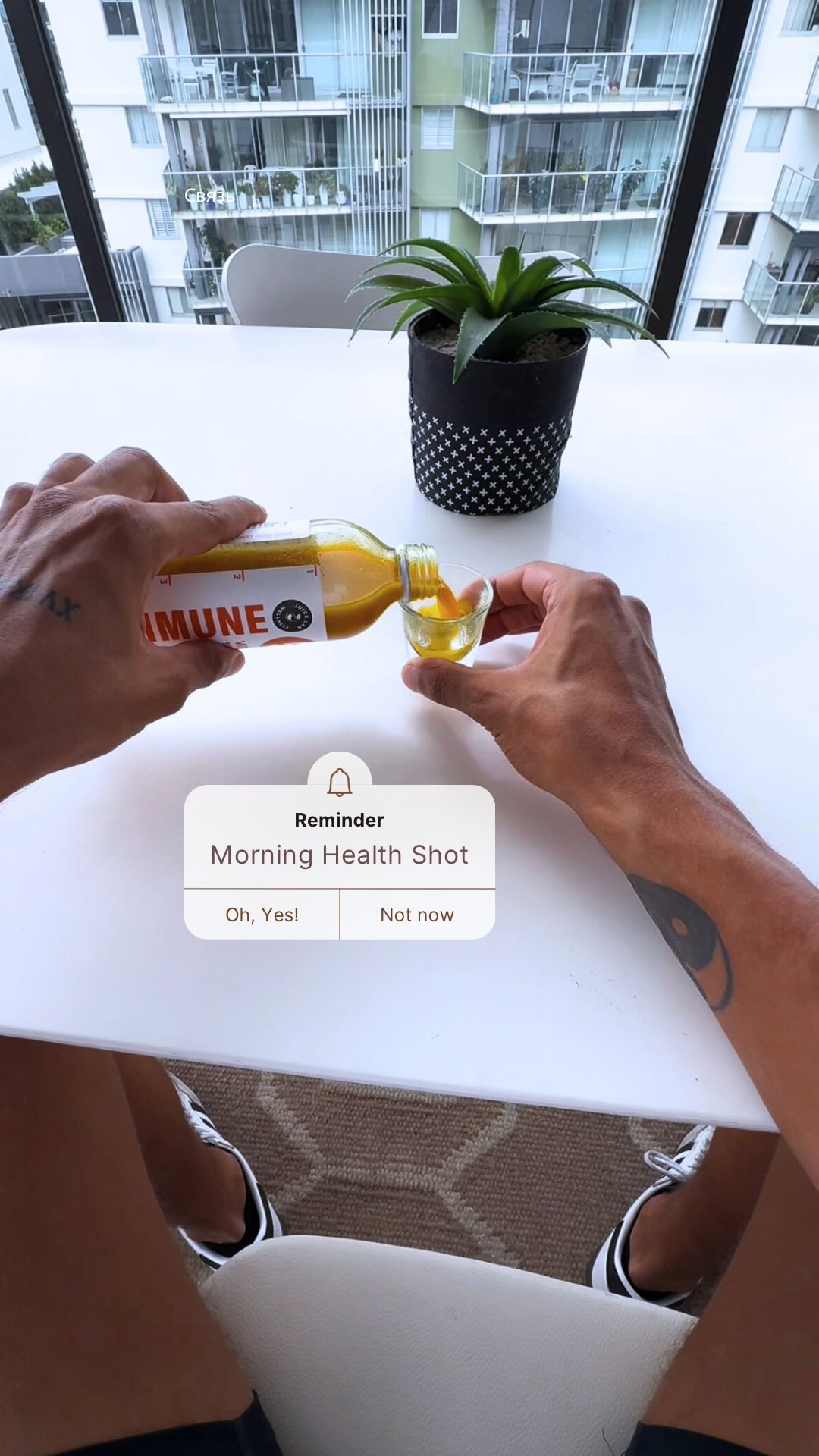 Health is wealth… but tequila is happiness ☀️
They say health is wealth 🥬💸, but tequila is happiness 🍹😎