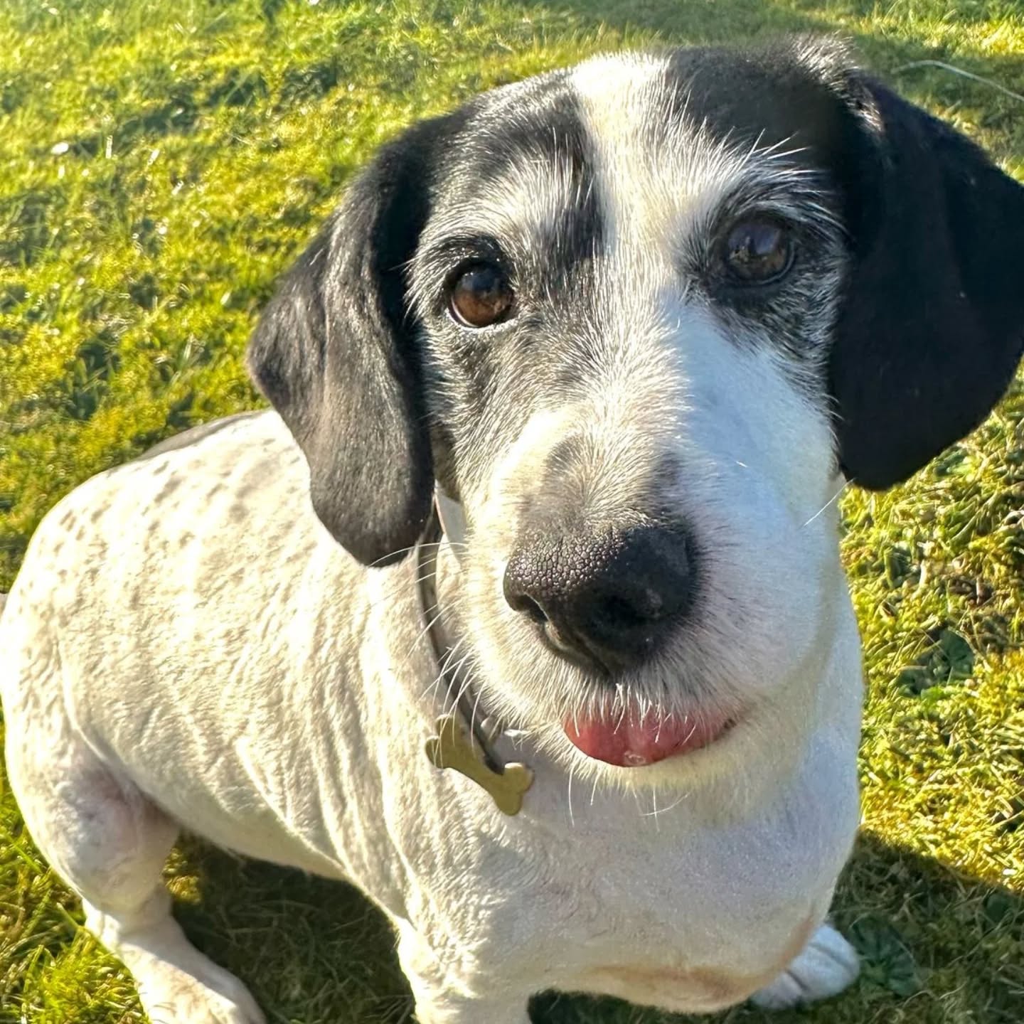 Today we had our staff team building day to engage and put our thoughts together for our new chapter! Stanley obviously got a lot out of it and decided it was all about him! ๐ฎ.
#stanley #teambuilding #somethingnewcomingsoon ๐พ๐