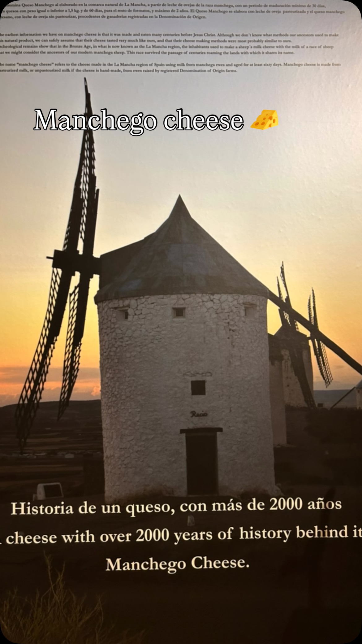 Enchanting Toledo Spain is worth adding to any visit to Spain. Considering other travel plans around the world? Visit Bubbly Tourist for easy to follow itineraries that make planning easy! Travel More Travel Bubbly!#bubblytourist #travelmore #traveltheworld #travel #vacation #traveller #toledoespaña #spainvacation #andalusiatravel #manchegocheese #travelmoretravelbubbly #ilovetotravel #worldismyoyster #ilovetotravel #travelyesplease