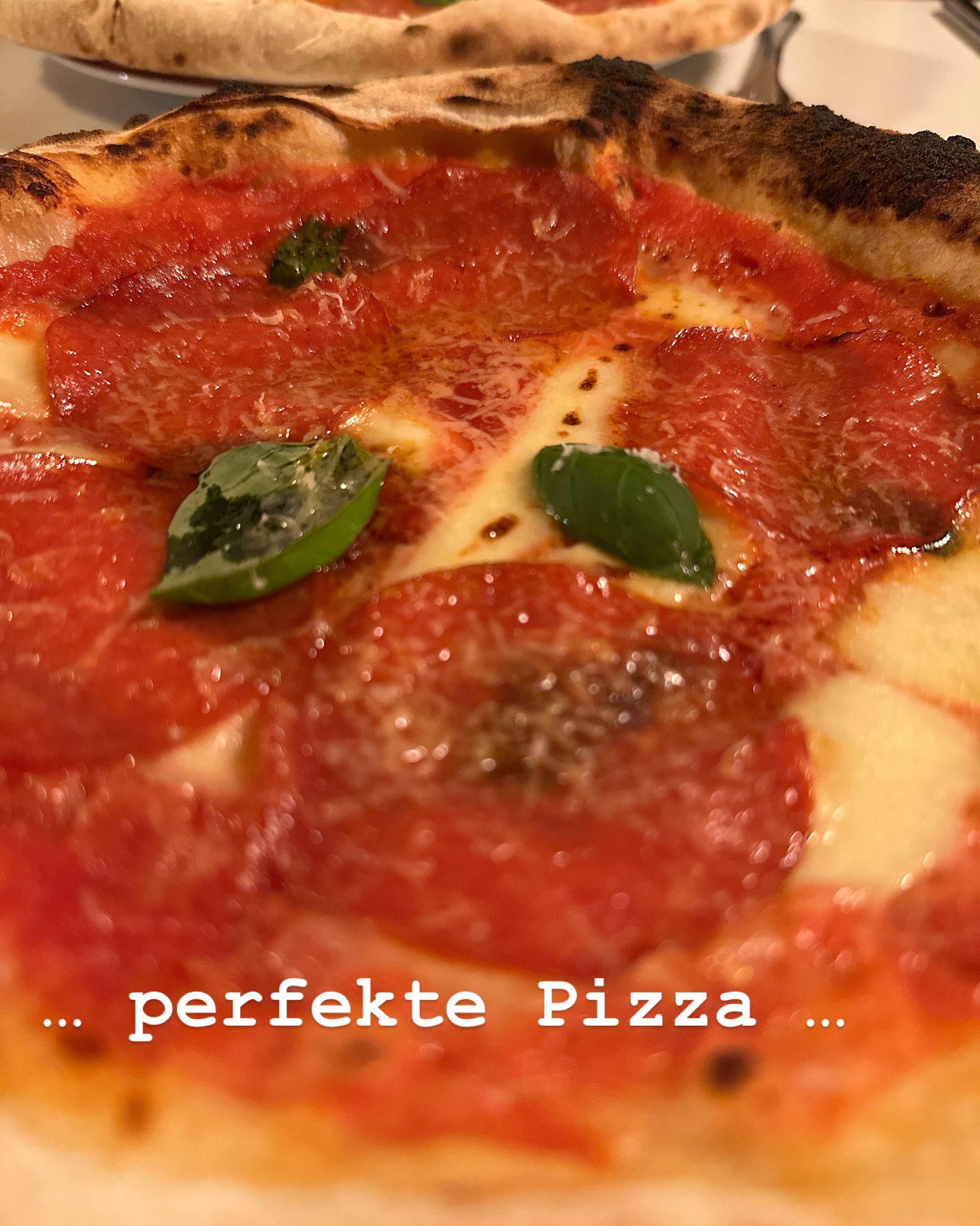 … Danke für eine perfekte Pizza…
Hier wurde #caputopizzaria Mehl Typ 00 über die #sanmarzano Tomaten für die Sauce… #mozarella und frischen #basilikum sowie #chillisalami verwendet.
@mazensbbq #mazensbbq
#lecker #pizza #pizzatime