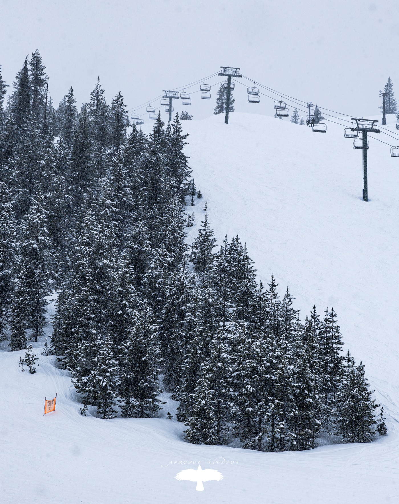 Hoodoo shenanigans. I'll most likely delete this post. I absolutely adore the snow, and we took a trip up today so I could get my fix. Falling snow if my happy place.
#hoodoo #oregonexplored #oregon #snow