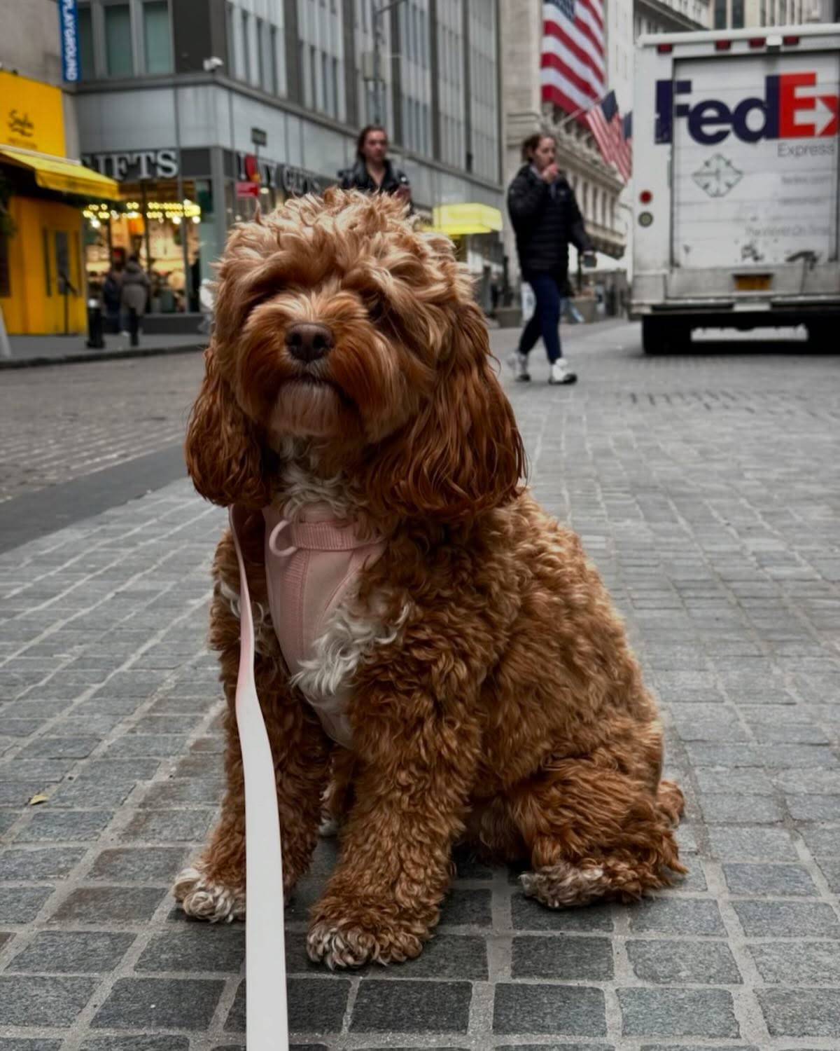 making the city a little cuter 🌆🎀