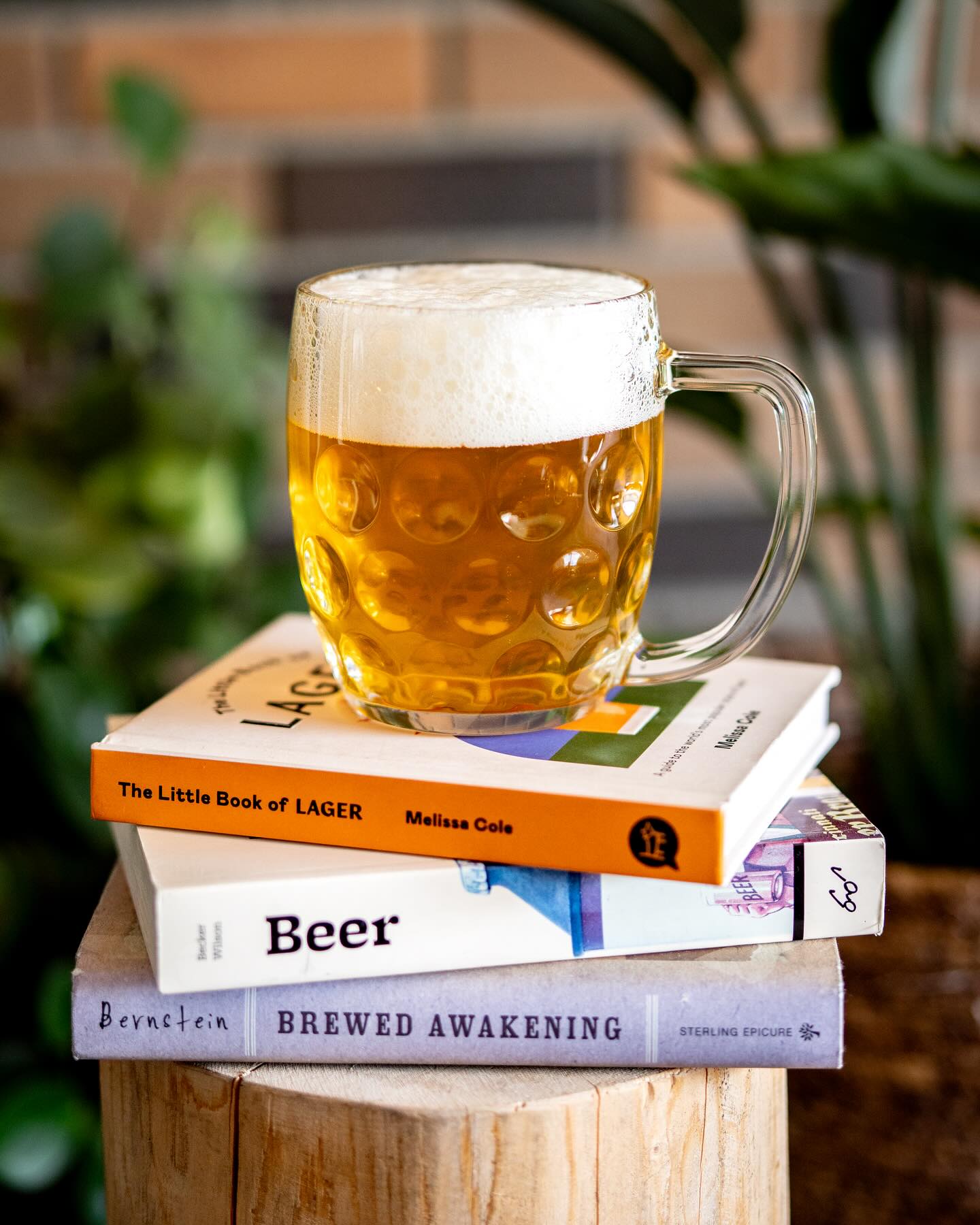 THE SEARCH FOR THE PERFECT STEIN IS OVER 🍺
After months of searching, sampling, and lots of debate, we’ve finally found the one. The perfect stein. This beauty is about to become one of our most important pieces of equipment as we prepare to open House of Lager.
We needed something that could handle our Lukr side-pour faucets and deliver the perfect pour – crisp, cold lager topped with a meringue-like head. We needed a stein that could hold a solid amount of golden goodness, because we want you to fill your belly every time you visit our beer hall. And, most importantly, we needed something thick and hearty that could withstand the constant cheers-ing between friends, old and new.
After all that searching, we found it. 24 oz of pure lager glory, ready to be filled, clinked, and enjoyed.
We can’t wait for you to see it (and taste what’s inside). Cheers to good beer and great company! 🍻
#stein #beer #lager #bcbeer #bccraftbeer #squamishlife #hol #houseoflager