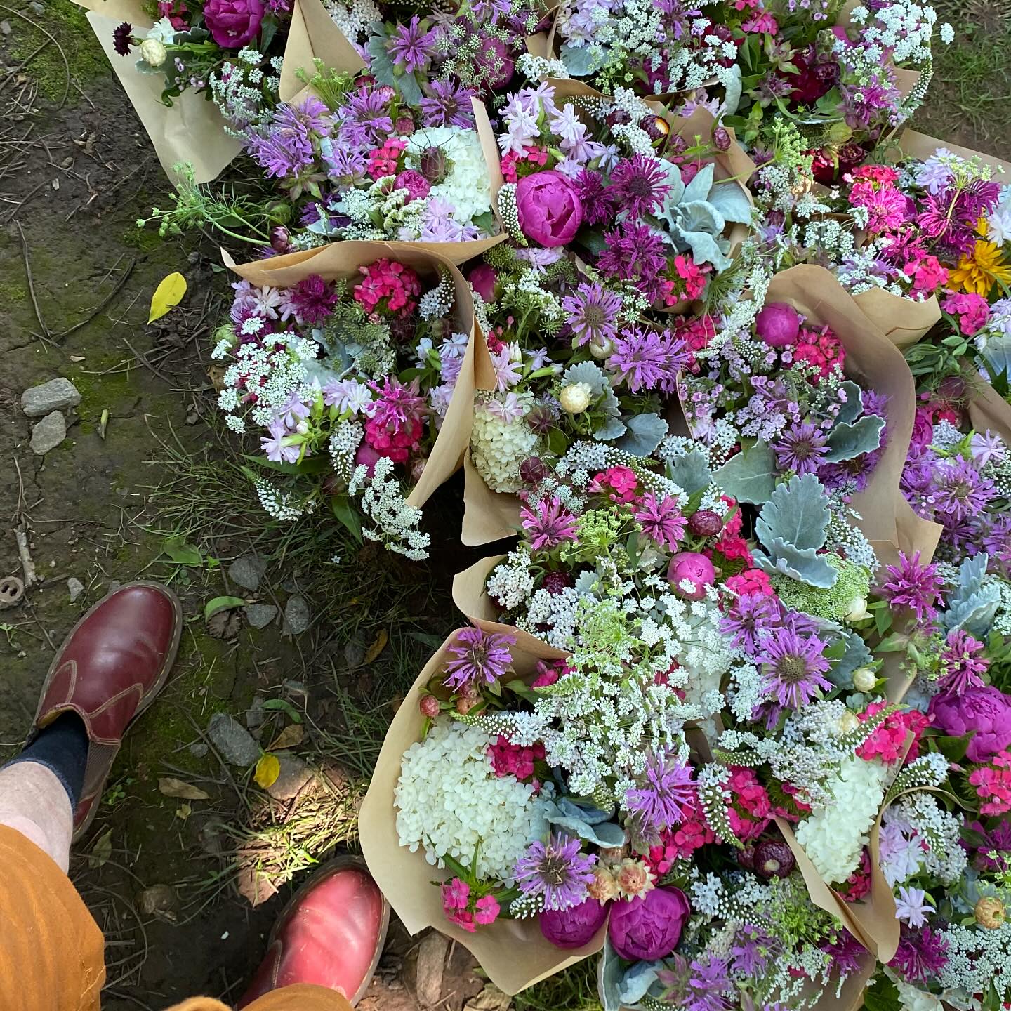 Good news! We’ve added another CSA pickup location!
@lovettsvillemarket has been kind enough to let us drop your bouquets there on Friday mornings. If you love seasonal flowers- you can buy a share, and plan to pick it up there each Friday afternoon while our shares are running. While you’re there, grab your groceries for the weekend, and support all the local farmers and small business AND the coop itself of course!
It’s becoming more and more important to know where your money is actually going these days- supporting local, small businesses is an easy answer!
Our 4 week spring bouquet share starts Friday April 11th. #ranunculus #anemones #tulips #fancydafodils and lots of other spring favorites will be included in your weekly bundles! Sign up soon with the link in my bio- choose your pickup location:
@lovettsvillemarket
@themercva
@cowbellkitchen
@cornerstoreva
@marina.co.va
Working on an Ashburn location too so please to comment if that would be helpful for you!
Thank you to all of these #local small businesses for supporting our local #smallbusiness !
#nofarmsnofood #loudounva #loudounvamadeloudounvagrown #localflowers #slowflowers #flowerfarmer #freshflowers