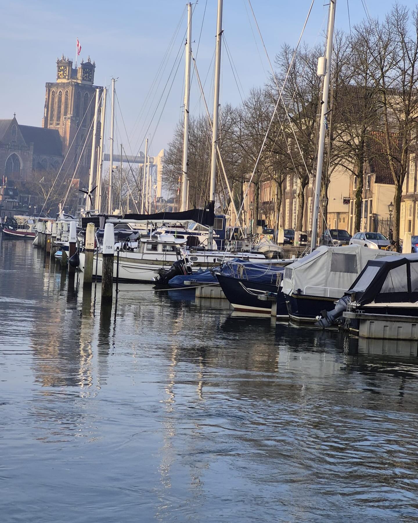 Dordrecht today courtesy of @rosegarden.dordrecht