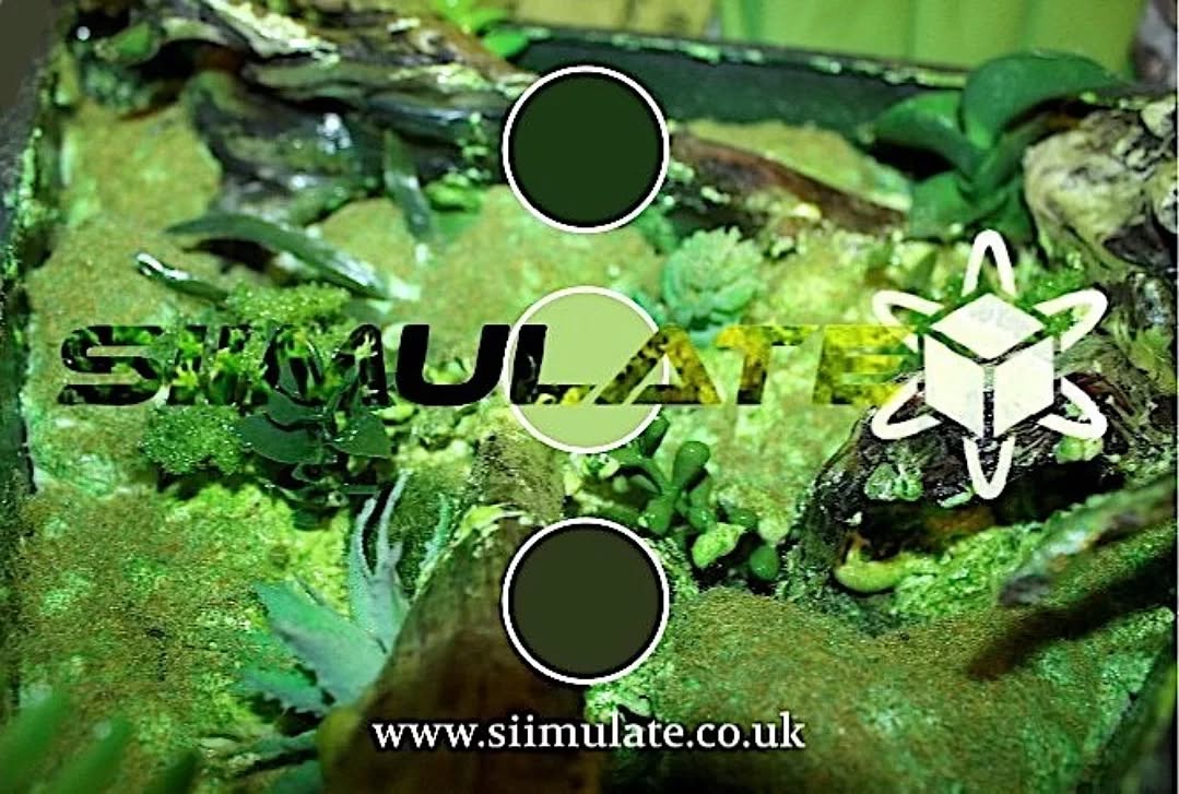 Our Story
So the story for SIIMULATE begins in 2024 when myself being the designer behind SiiMULATE - (WWA) created a relief wall piece of a rainforest for my beloved partner.
Upon witnessing its completion they said that it could go further and over time, various other friends and family vouched the same. Now I wish to truly realise it!
Perhaps it was as nature intended, as we SiiMULATE 🌿 siimulate.co.uk #siimulate