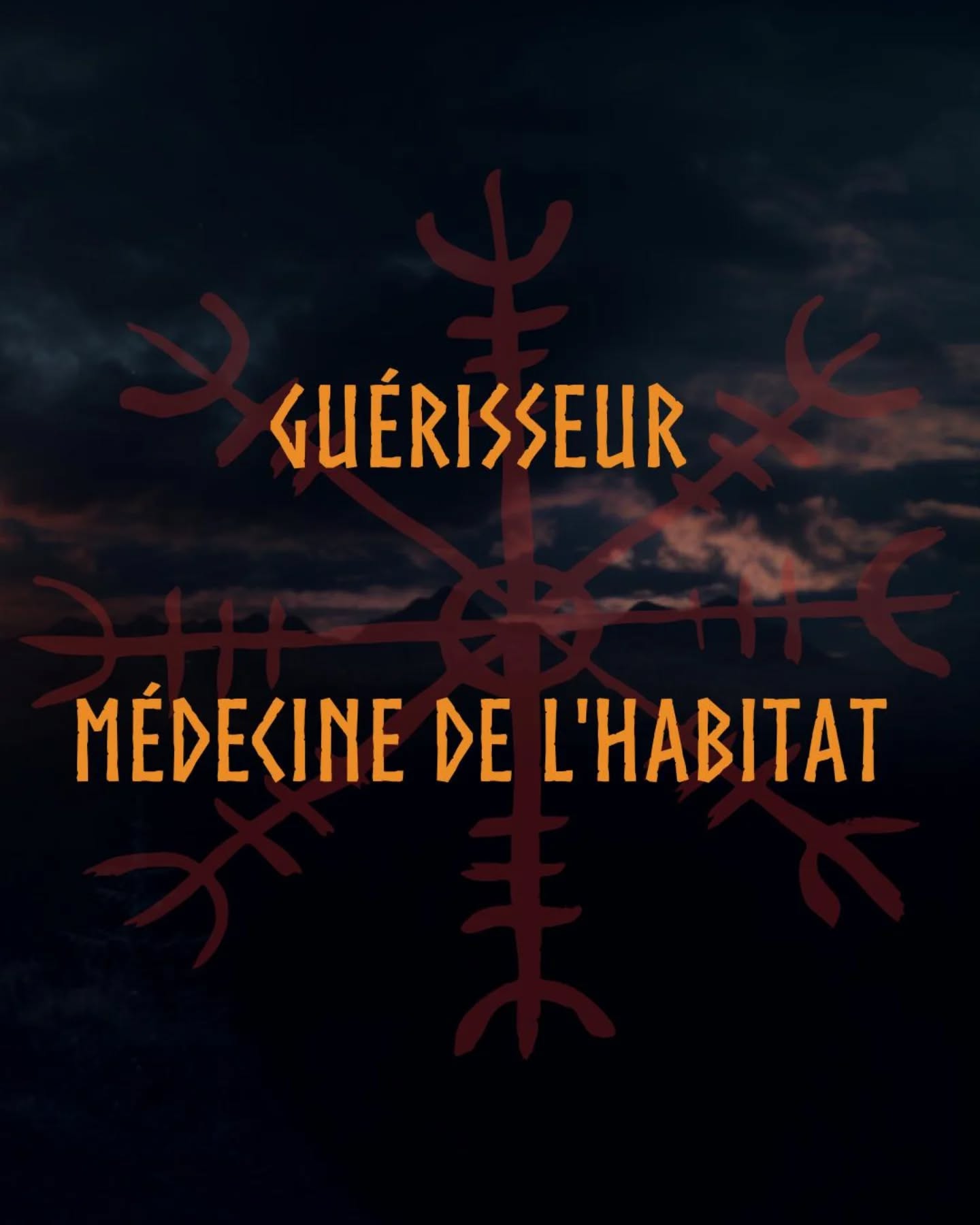#lesarcanesduwyrd #wyrd #guérisonholistique #guerisseur #guerison #norse #geobiologie #soinsenergetiques #aegishjalmur #sagesse #protection #energie #suisse #bulle
