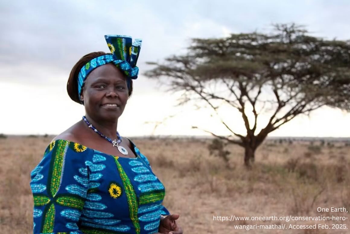 Today we recognize the legacy of Wangarĩ Maathai, a woman who defied the odds to become the first African American woman to receive the Nobel Peace Prize in 2004. Through her Green Belt Movement, an environmental organization working to preserve the environment, she empowered communities to fight deforestation and promote sustainability. 🌱