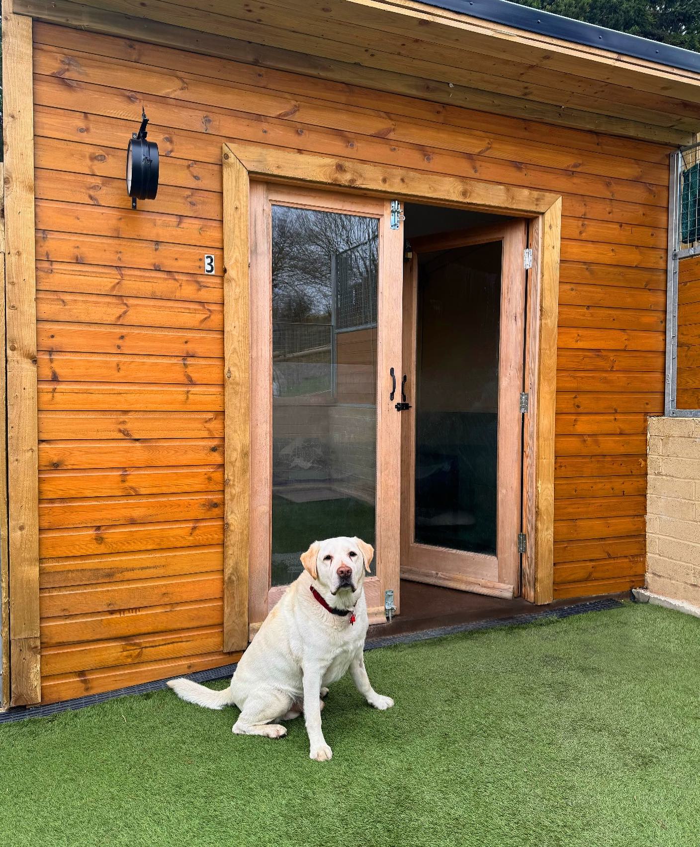 Looking for an alternative to traditional dog kennels? 🏡 🐶 🐾
#dogboarding #luxurydoghouse #dogsholiday #dogkennel #lablove #labrador